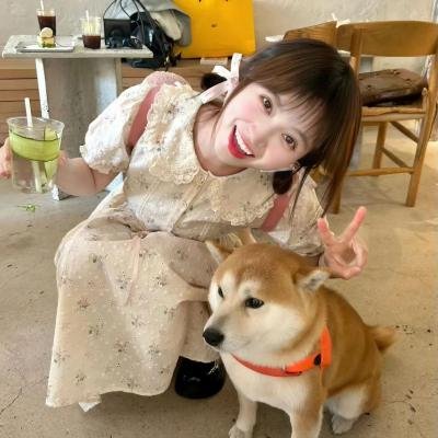 东京糖衣巧克力